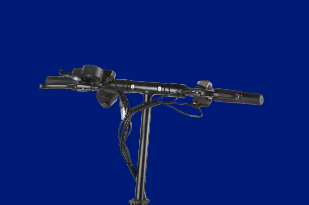 Sera B32